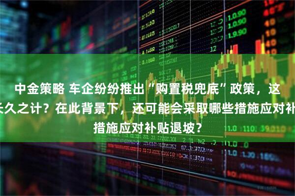 中金策略 车企纷纷推出“购置税兜底”政策，这是否为长久之计？在此背景下，还可能会采取哪些措施应对补贴退坡？