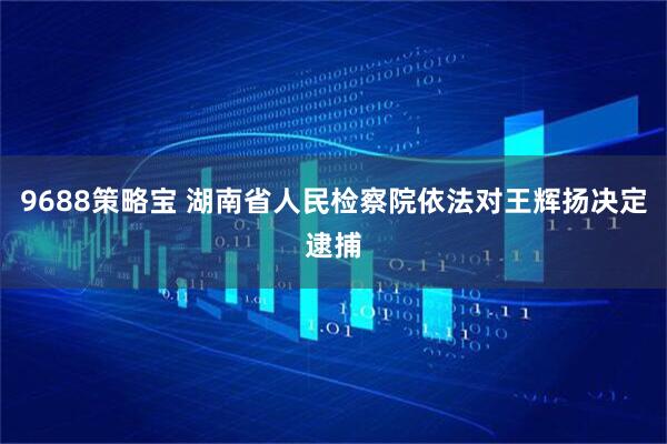 9688策略宝 湖南省人民检察院依法对王辉扬决定逮捕