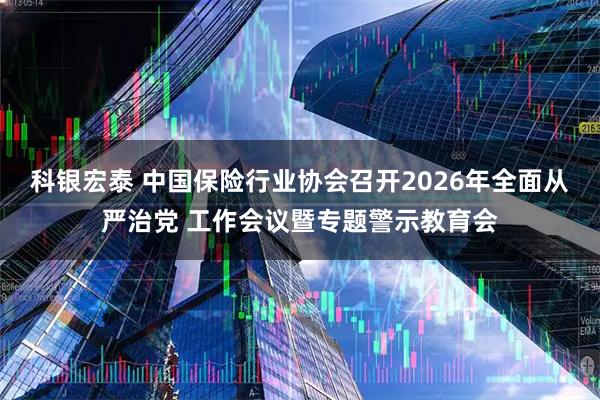 科银宏泰 中国保险行业协会召开2026年全面从严治党 工作会议暨专题警示教育会